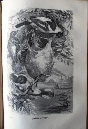 Brehm, A. E. Thierleben (Život zvířat), 1876-1879, - 2