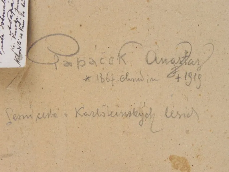 Anastasius Papáček (1867-1919) - 5