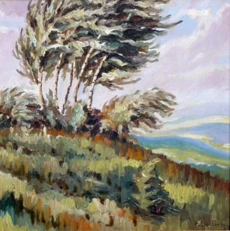 K. Helinger – Větrná stráň - 6