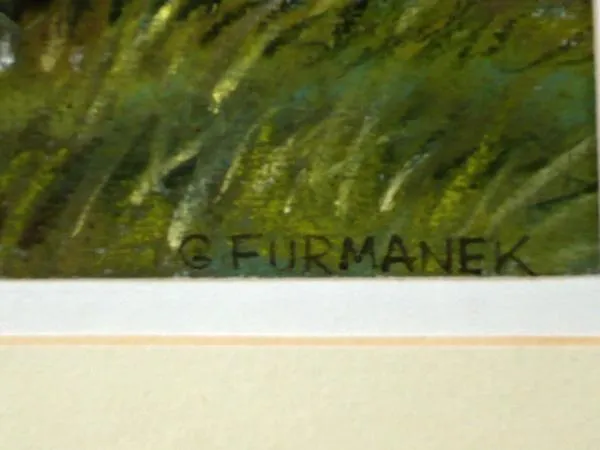 Czeslaw Furmanek – Samotna chata – Lubelskie - 3