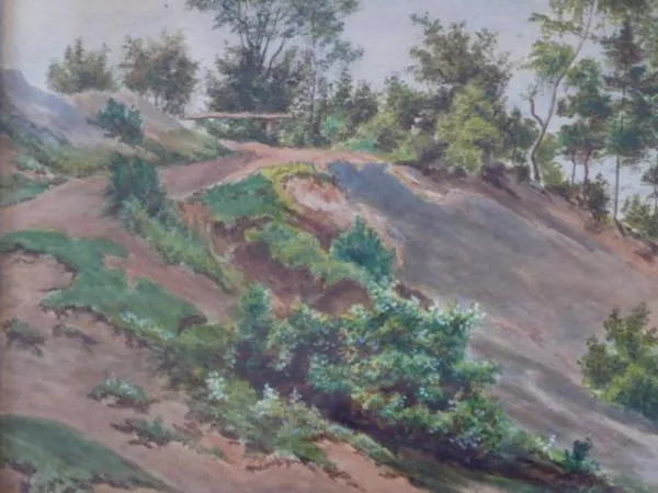 Stráň kvetoucí - 4