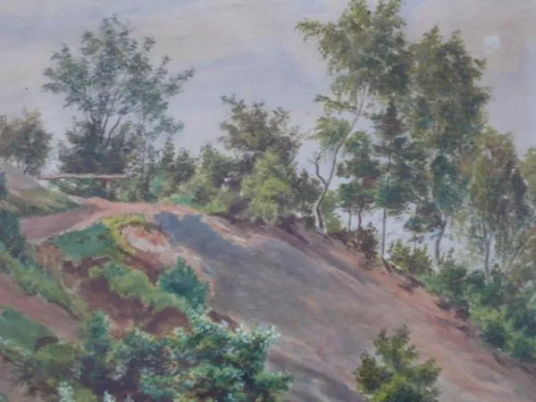 Stráň kvetoucí - 5