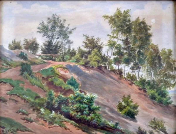 Stráň kvetoucí - 6