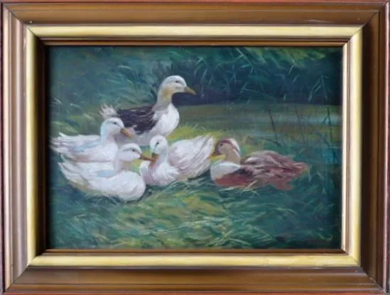 Josef Pavelka - Kachny