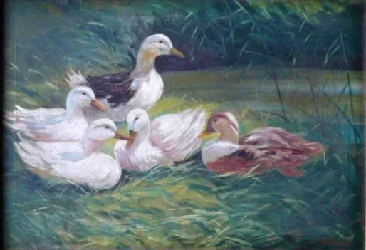 Josef Pavelka – Kachny - 6