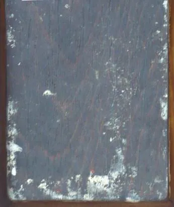 Lucas Cranach starší – Venuše , kopie - 2