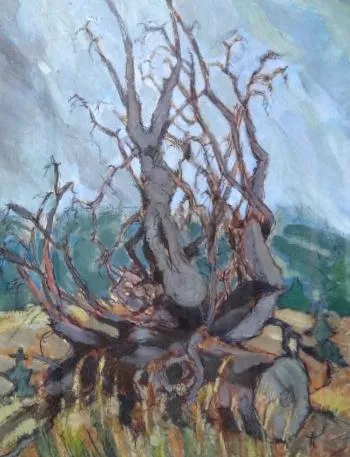 Václav Hejna, připsáno – Vyvrácený pařez - 3
