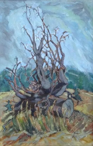 Václav Hejna, připsáno – Vyvrácený pařez - 4