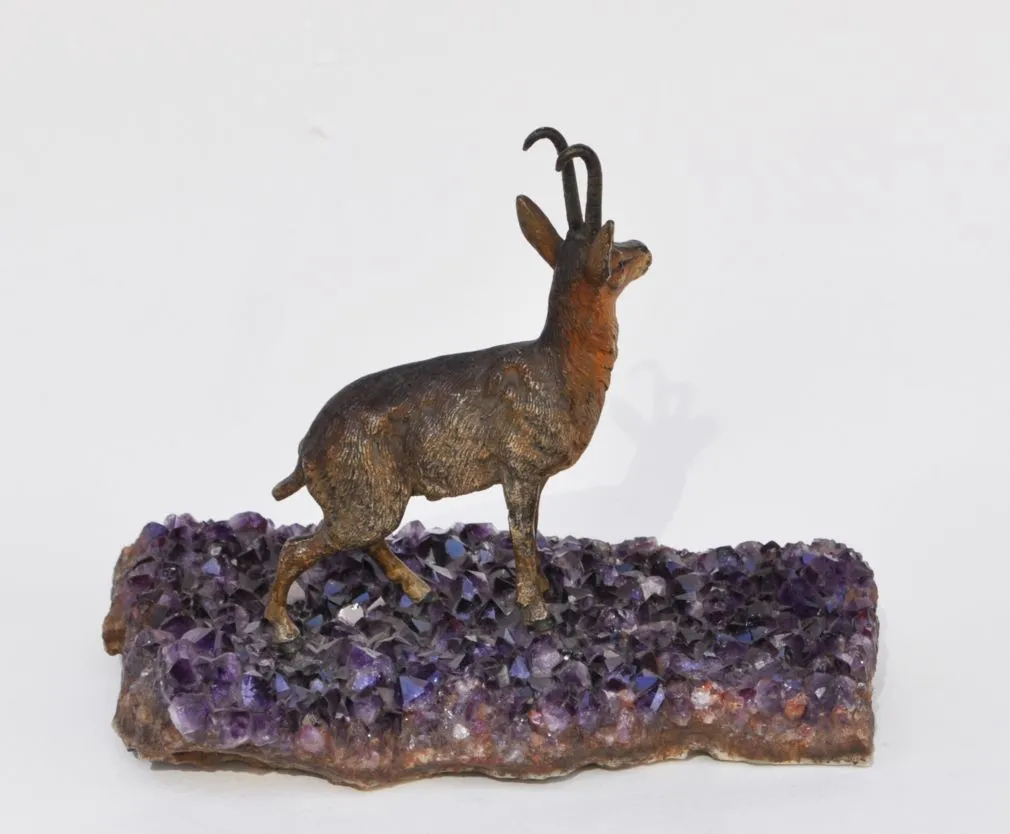 Kamzík – Vídeňský bronz - 3
