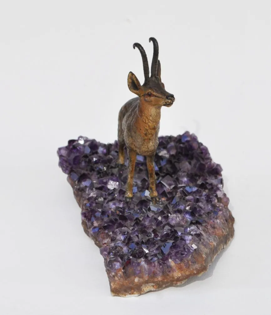 Kamzík – Vídeňský bronz - 4