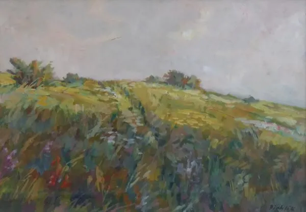 Pichlík – Louka s keři - 4
