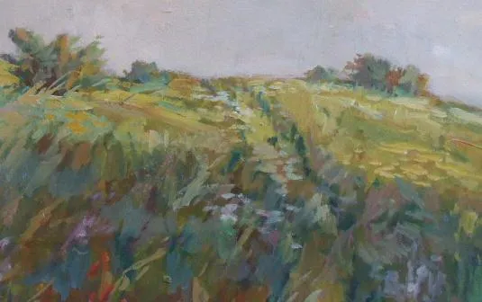 Pichlík – Louka s keři - 5