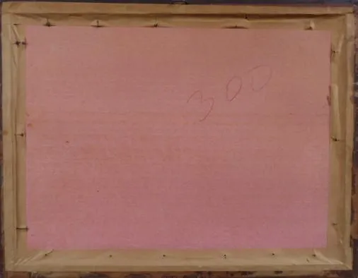 František Kožíšek – Snopy - 8