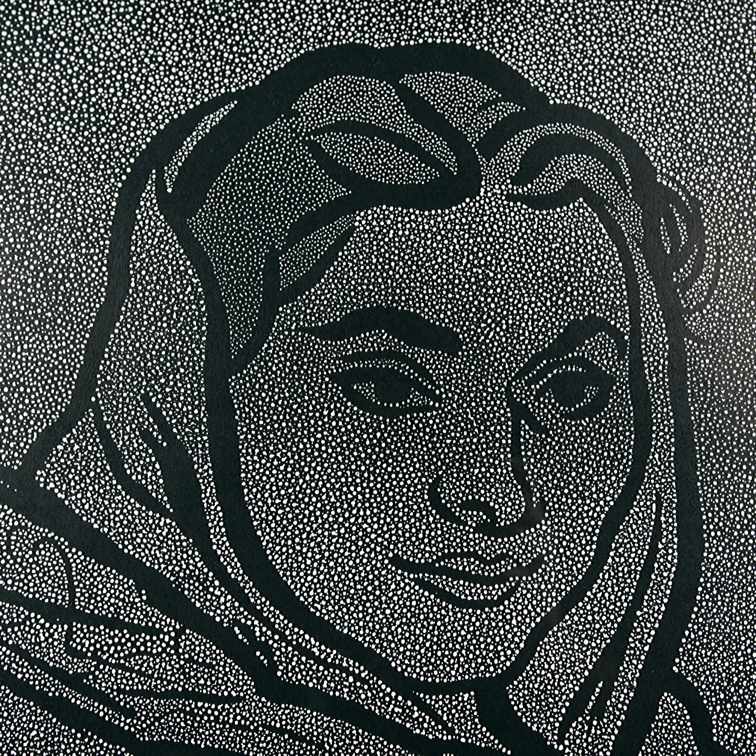 LADISLAV VLODEK – ŽENA V ŠÁTKU - 3