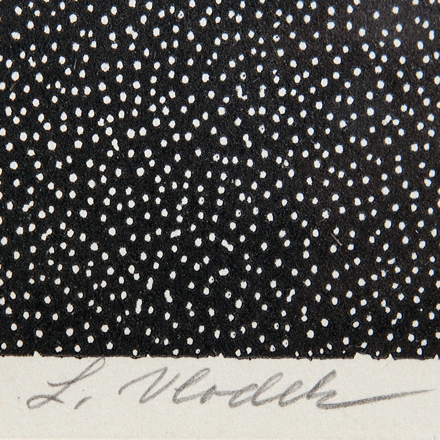 LADISLAV VLODEK – ŽENA V ŠÁTKU - 5