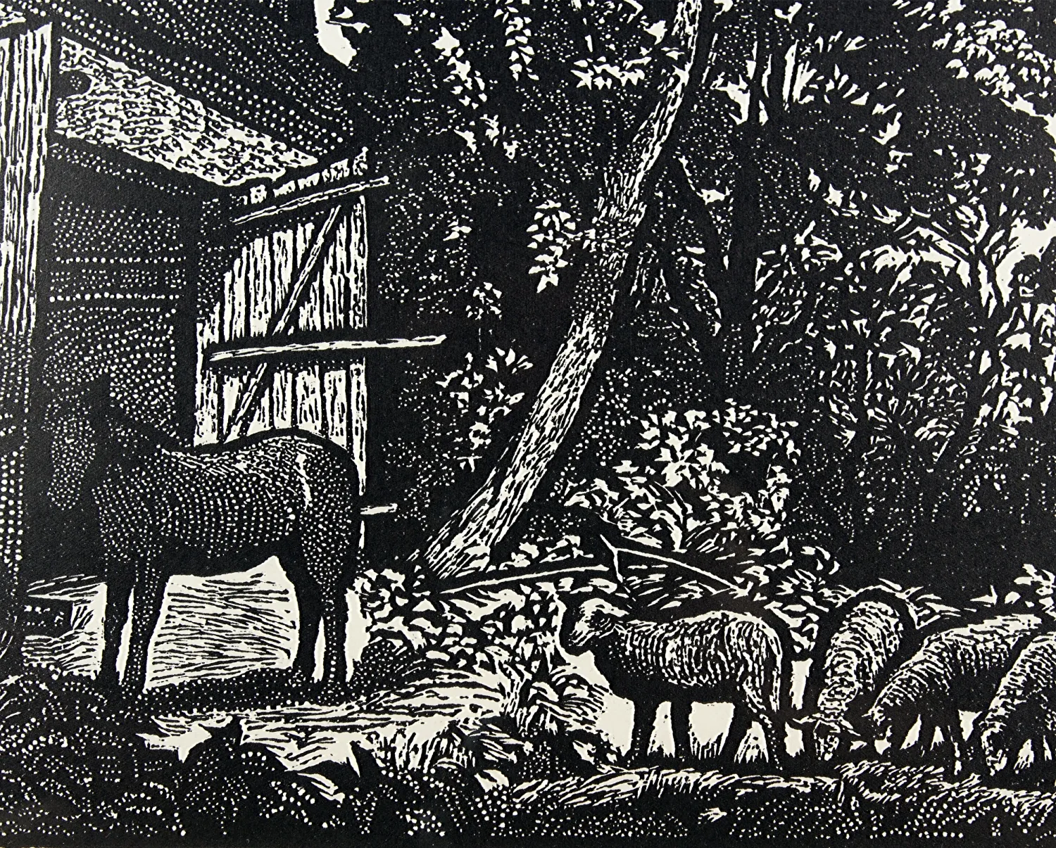 LADISLAV VLODEK – Na pastvě - 3