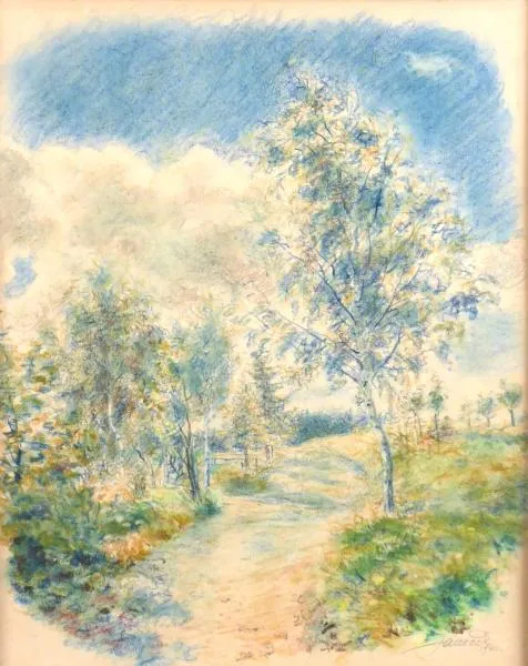 Janeček – Potok a bříza - 3