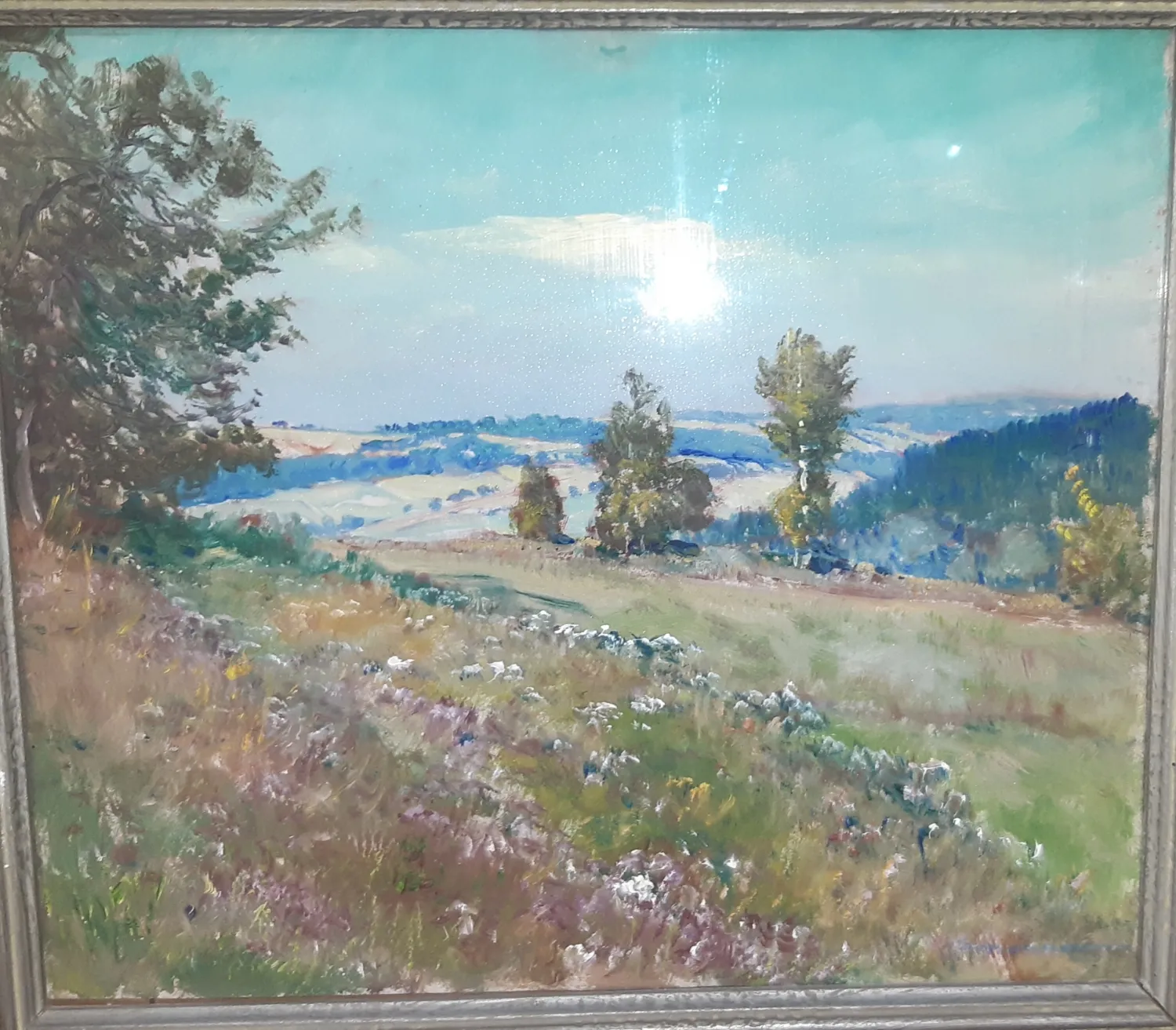 Karel Schauer, Rozkvetlá Louka - 5