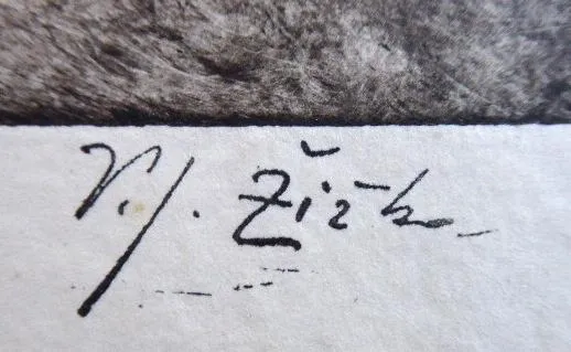 Vratislav Jan Žižka – Souhvězdí Draka - 2