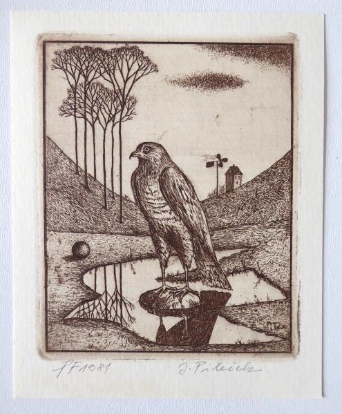 Jindřich Pileček – Sokol, P. F. 1981