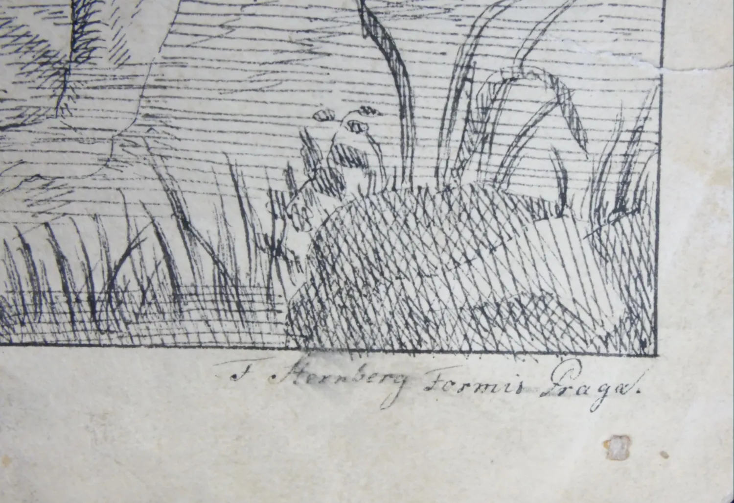 Josef Bergler – Potrestaná láska - 4