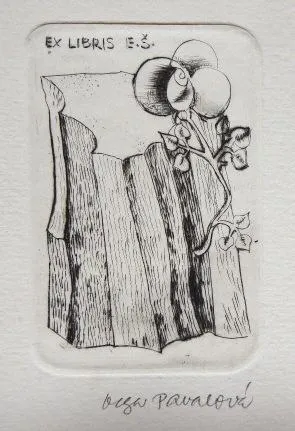 Olga Pavalová – Kočka, Ptáček, Květiny - 2