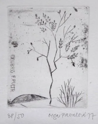 Olga Pavalová – Kočka, Ptáček, Květiny - 3
