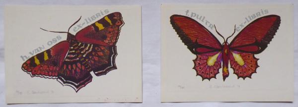 Zuzana Oberthorová – Motýli