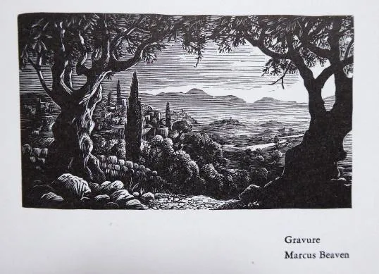 Tři grafiky – Navrátil, Ranný, Marcus Beaven - 4