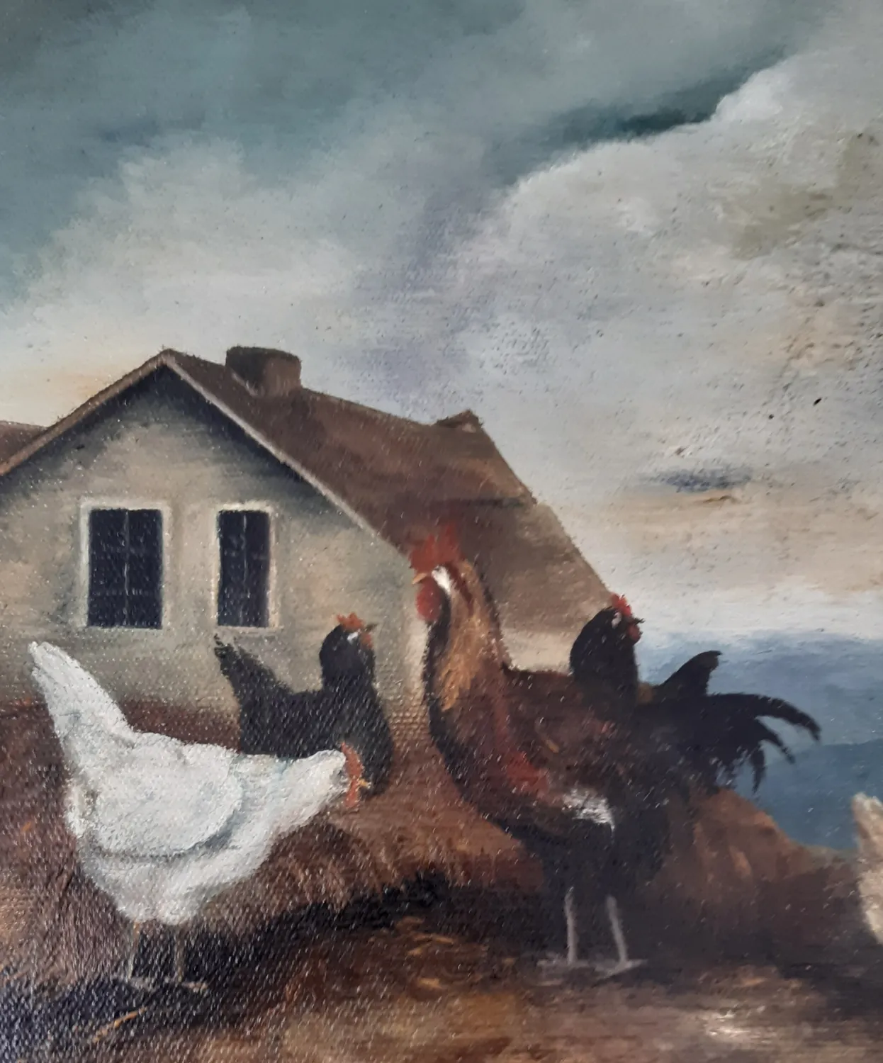Drůbež na Francouzském Dvorku - 7