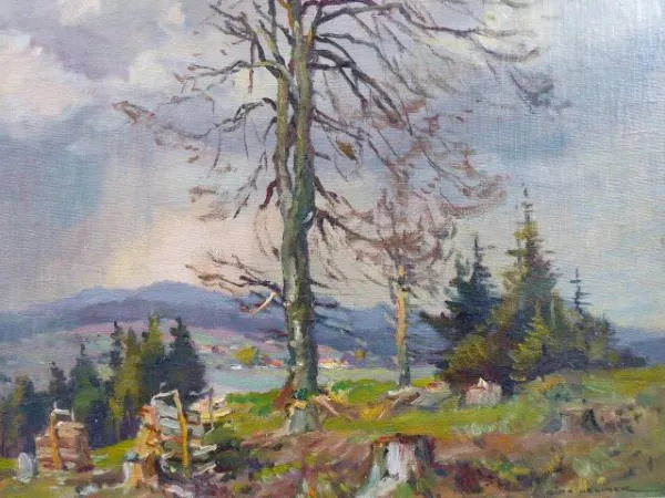 František Cína Jelínek – Krajina při dešti, se sáh - 5