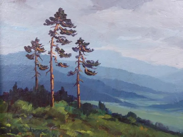 Šašková – Tři borovice na stráni - 5