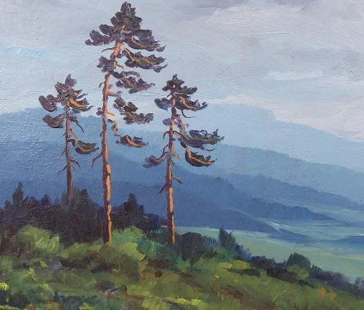 Šašková – Tři borovice na stráni - 6