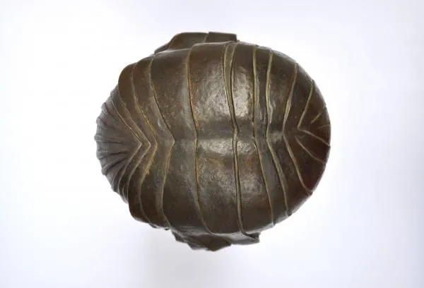 Demetre Chiparus – Dívčí busta - 4