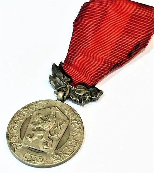 Vyznamenání za zásluhy o obranu vlasti - 3