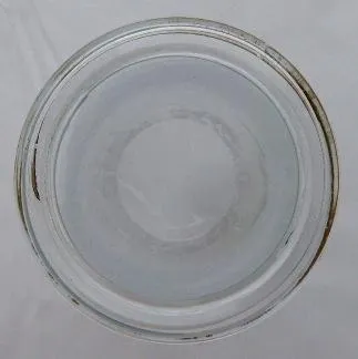 Dvě sklenice s bílými květy – Protěž alpská - 2