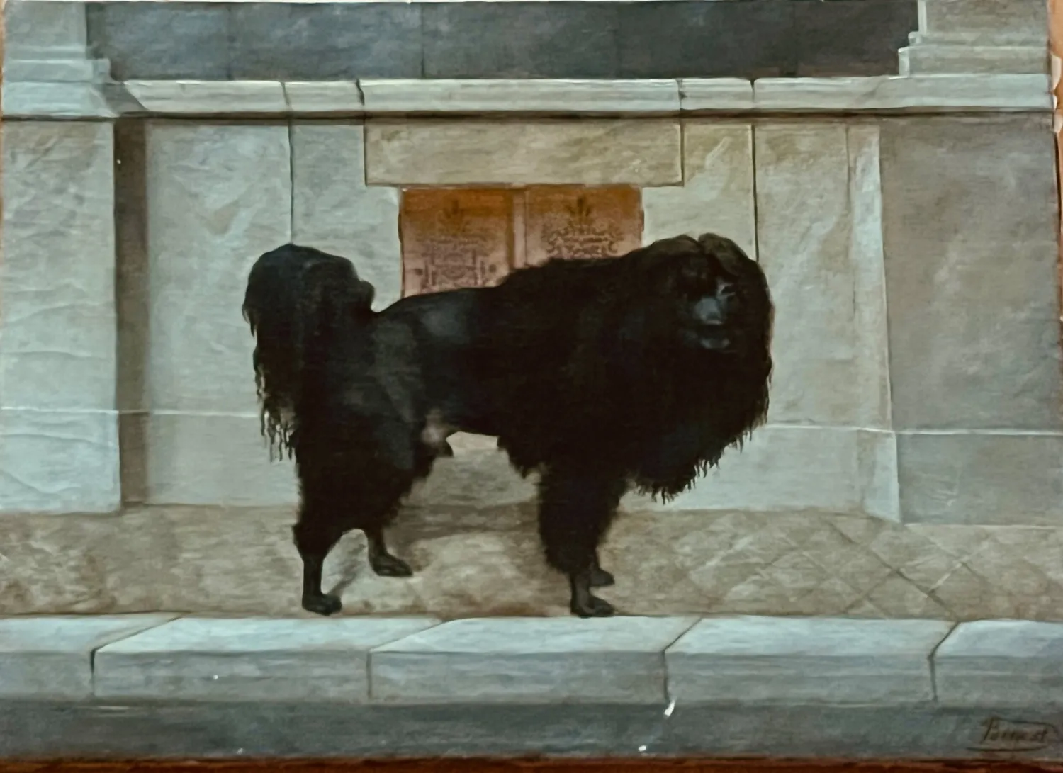 Josef Ferdinand Benesch “ Pudl královský” 1890 - 2