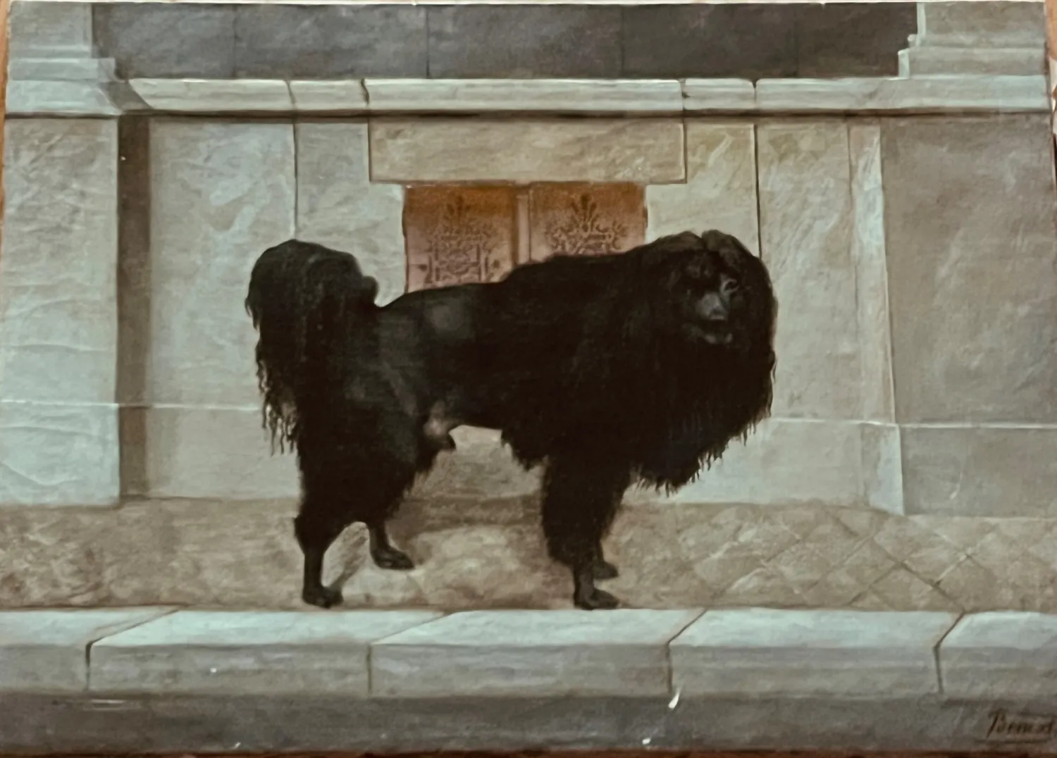 Josef Ferdinand Benesch “ Pudl královský” 1890 - 3