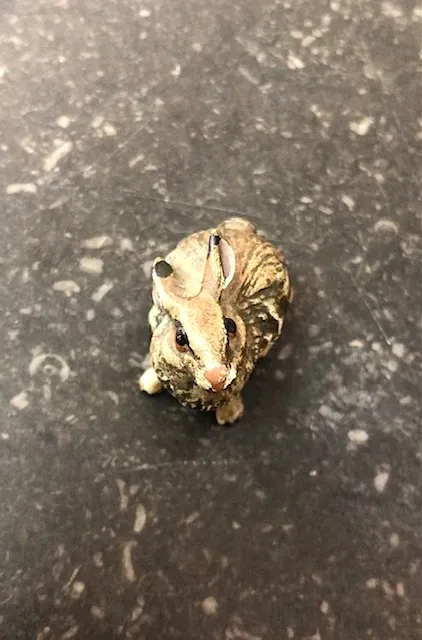 Vídeňský Bronz, Králíček - 2