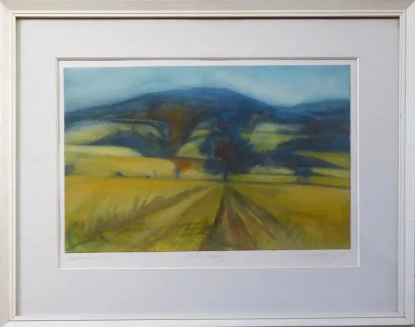 Boris Nosek – Pole, Volary - 1
