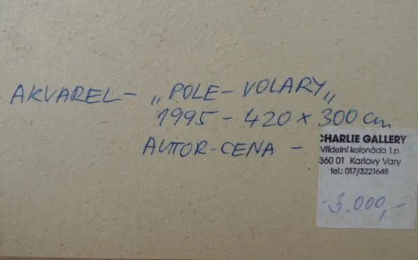 Boris Nosek – Pole, Volary - 2