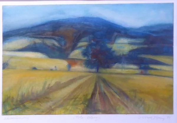 Boris Nosek – Pole, Volary - 7