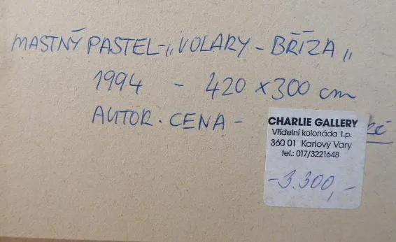 Boris Nosek – Volary, Bříza - 2
