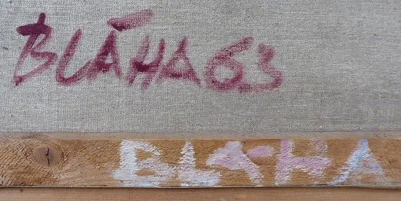 Bláha – Pohled na Pražský Hrad a Malou Stranu - 2