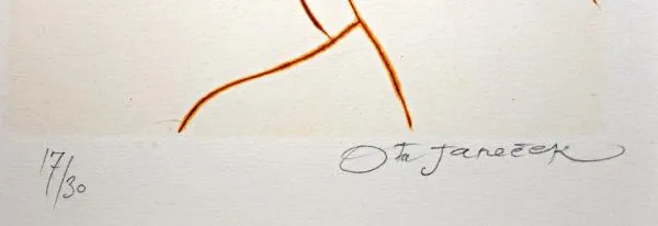 Portrét : Ota Janeček - 4