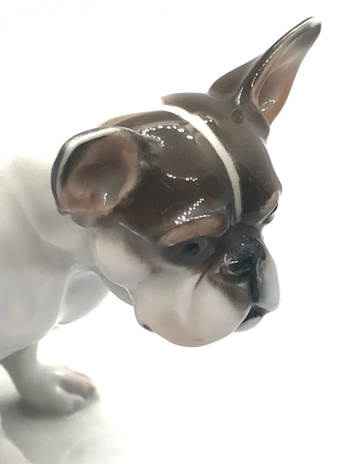 Porcelánový buldoček – Rosenthal - 5
