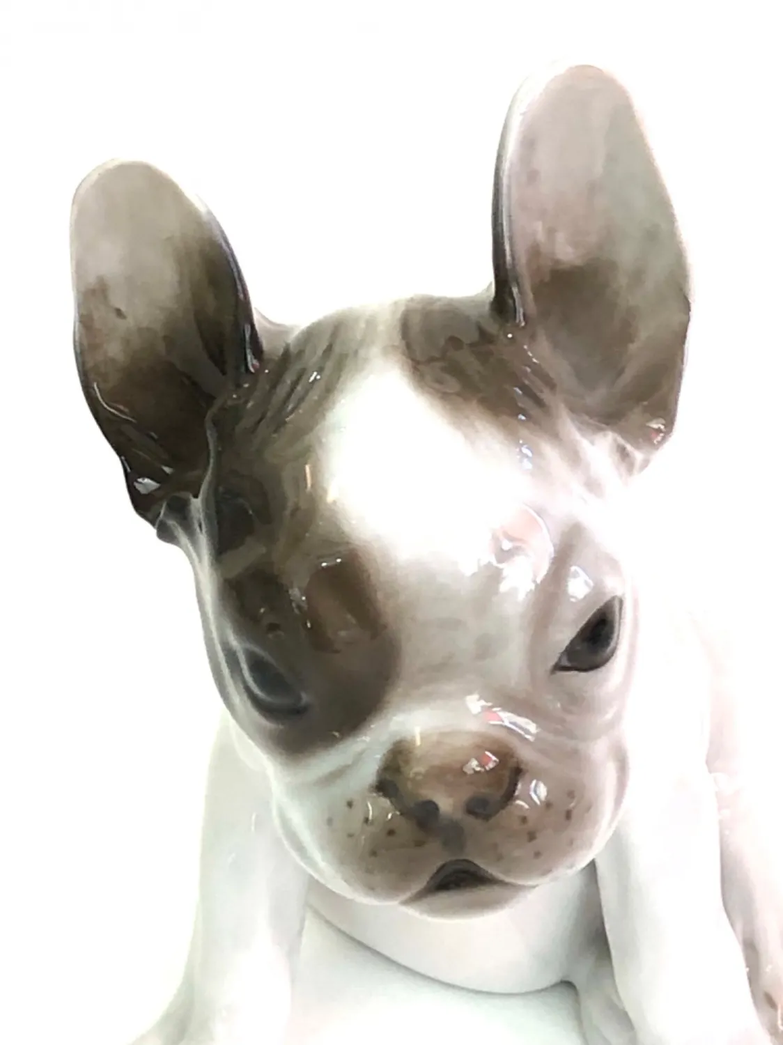 Porcelánové štěně buldoka – Thekla Harth/Rosenthal - 6