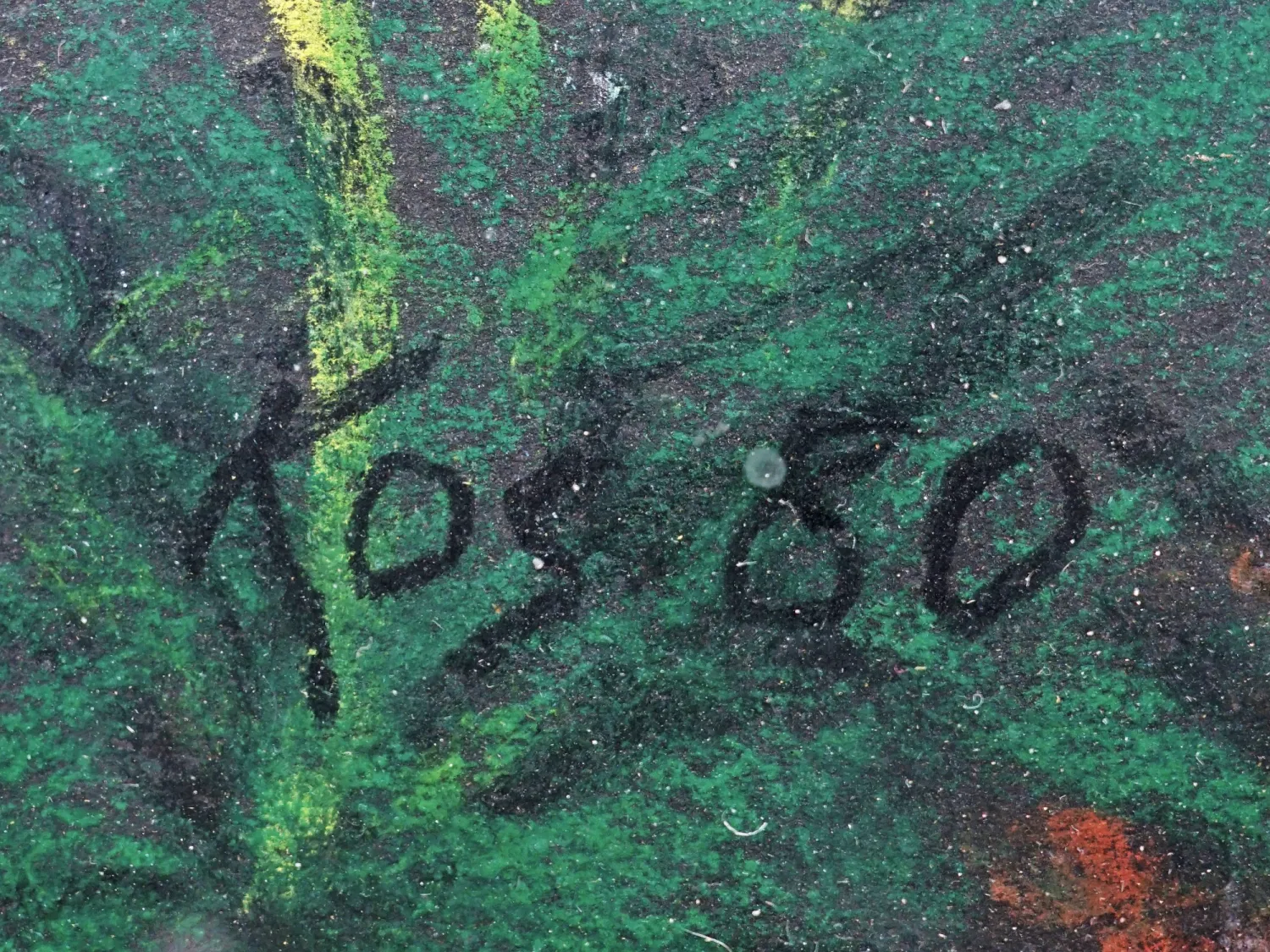 Kos – Kopretiny - 3