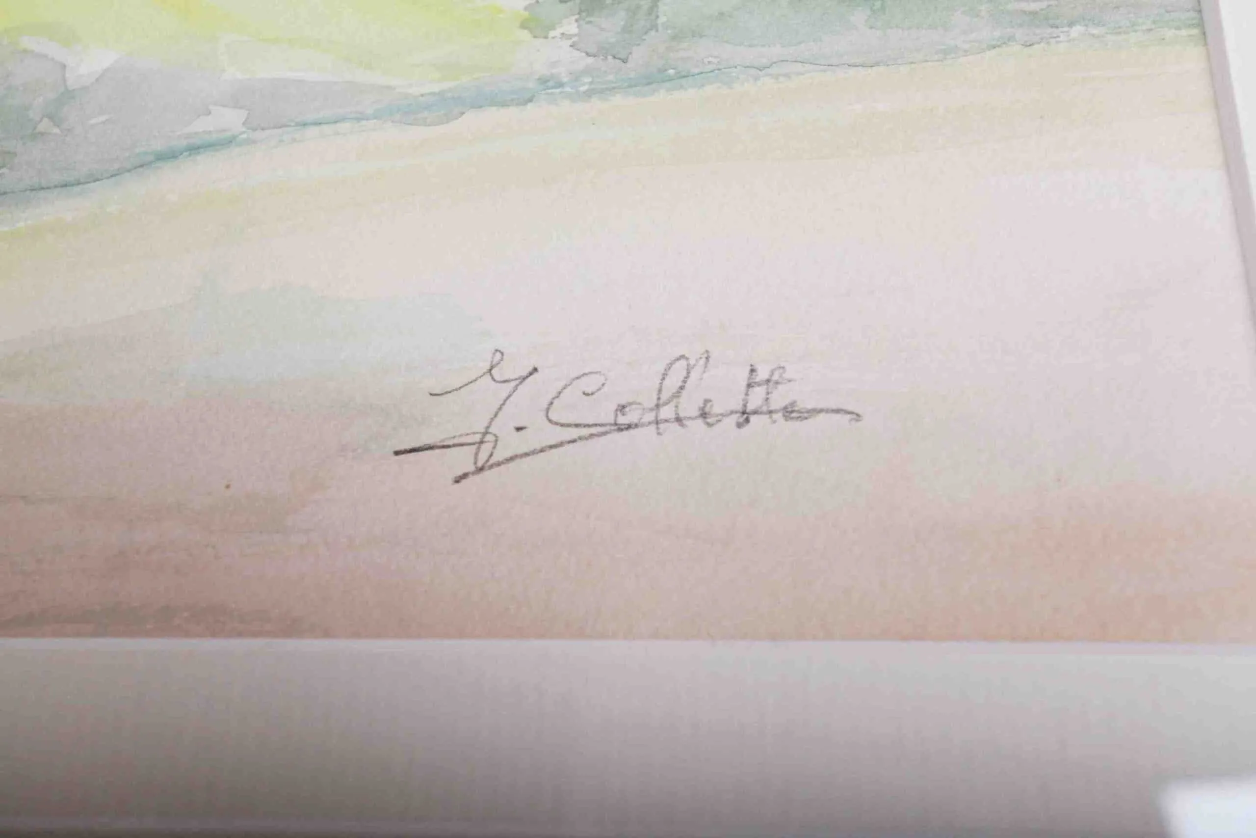Y. Collette Chaloupka - 2
