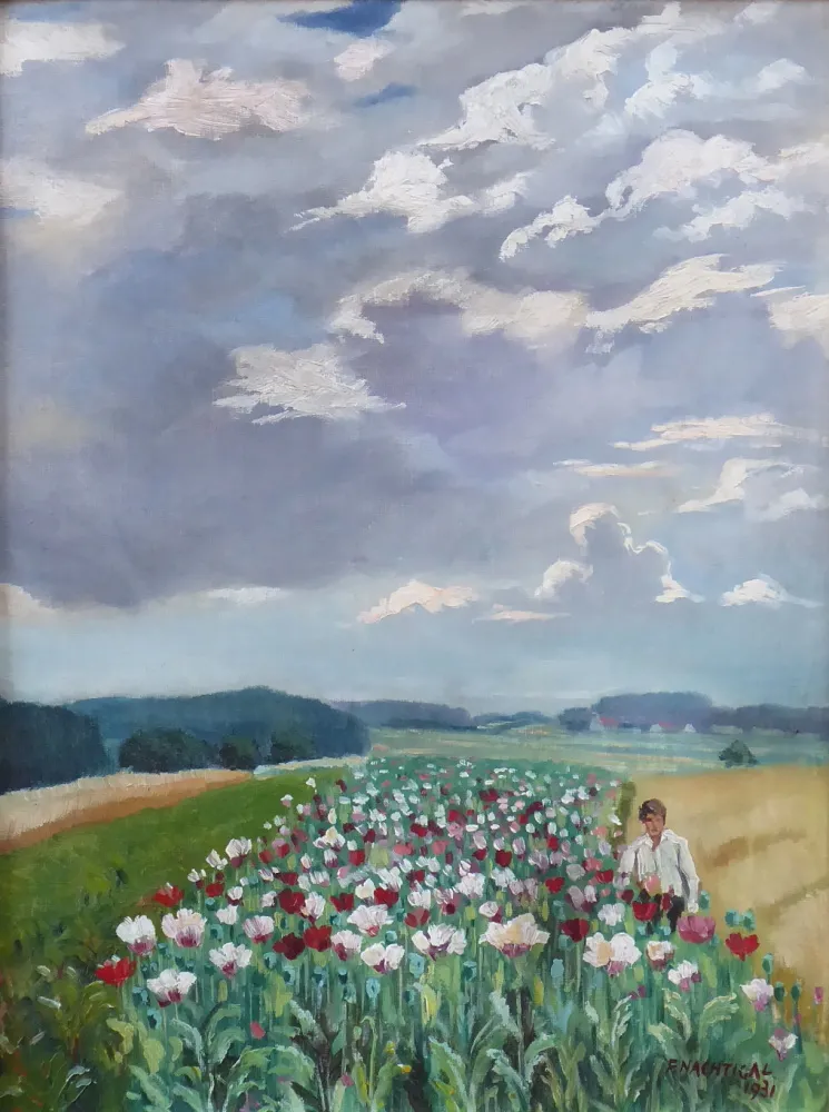 František Nachtigal – Mládenec u makového pole - 2